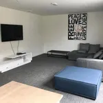 Rent 1 bedroom apartment in Leuven