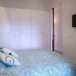 Rent 2 bedroom apartment in valencia