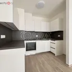 Rent 3 bedroom apartment of 136 m² in Brno