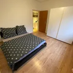 Miete 2 Schlafzimmer wohnung von 58 m² in Essen