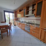 Rent 1 bedroom apartment of 150 m² in legnaro