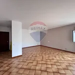 Affitto 5 camera appartamento di 144 m² in Trapani