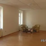 Miete 2 Schlafzimmer wohnung von 95 m² in Gera