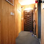 Rent 1 bedroom apartment of 41 m² in Brno