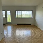  appartement avec 1 chambre(s) en location à Montreal