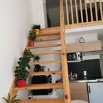 Rent 1 bedroom apartment of 33 m² in La
