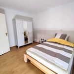 Rent 1 bedroom apartment of 60 m² in Hildesheim