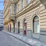 Rent 4 bedroom apartment in Praha