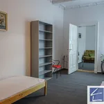 Rent 4 bedroom apartment in Szczecin