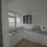 Rent 4 bedroom apartment in Vrieheidepark