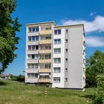 Rent 3 bedroom apartment of 76 m² in Dortmund