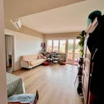 Rent 3 bedroom apartment of 60 m² in Pisa