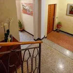 Rent 2 bedroom apartment of 55 m² in Treviso