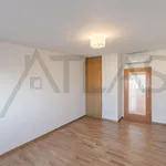 Pronajměte si 4 ložnic/e byt o rozloze 250 m² v Prague