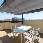 Rent 2 bedroom apartment in valencia