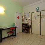 Rent a room of 80 m² in Roma