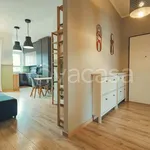 Rent 3 bedroom apartment of 110 m² in Torino