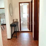 Rent 3 bedroom apartment of 68 m² in Cesenatico