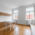 Rent 1 bedroom apartment of 26 m² in Prague