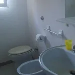 Rent 1 bedroom house of 36 m² in Nova Siri