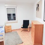 Rent 3 bedroom apartment of 74 m² in Duisburg