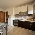 Rent 3 bedroom apartment of 65 m² in Pisa