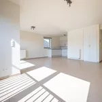 Rent 1 bedroom apartment in Kruisem