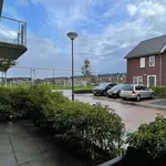 Rent 3 bedroom apartment of 82 m² in Splegelpolder