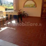 1-bedroom flat via Carlo Collodi, La Rotta, Pietroconti, Pontedera