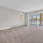 Rent 1 bedroom apartment in Surrey