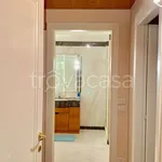 Rent 4 bedroom apartment of 110 m² in Verona