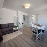 Rent 4 bedroom apartment of 75 m² in Rühen