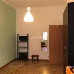 Rent 3 bedroom apartment of 80 m² in torino