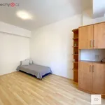 Rent 2 bedroom apartment in Praha