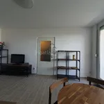 Rent 3 bedroom apartment in Budapest