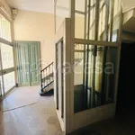 Rent 1 bedroom apartment of 20 m² in Torino