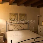 Rent 3 bedroom apartment of 60 m² in Firenze