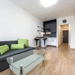 Rent 1 bedroom apartment in Capital City of Prague