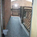 Rent 3 bedroom apartment of 80 m² in Alessandria