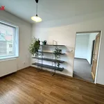 Rent 3 bedroom apartment of 110 m² in smichov