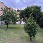 Rent 3 bedroom house of 85 m² in Pisa