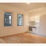 Rent 2 bedroom apartment of 47 m² in Vienna