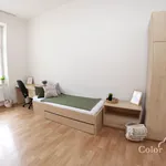 Rent 1 bedroom apartment of 12 m² in Brno