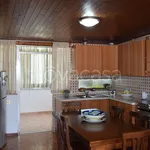 Rent 3 bedroom apartment of 80 m² in Isola delle Femmine