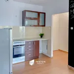 Rent 1 bedroom apartment of 32 m² in Poznan