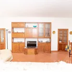 Rent 4 bedroom apartment of 119 m² in Pistoia