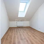 Pronájem bytu 3+kk 64m²