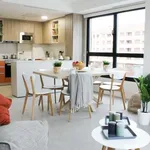 Rent 1 bedroom apartment in pamplona