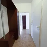 Rent 1 bedroom apartment of 37 m² in Hodonín