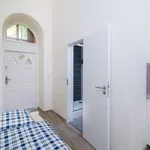 Studio o rozloze 15 m² v prague